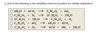 Reactants are the molecules that begin cellular respiration, in this case that would be oxygen and glucose. Solved Nich Of The Following Is The Simplified Chemical E Chegg Com