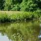 Narrowboat Experience Day event image