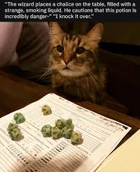 Pathfinder Dungeons And Dragons Dnd Funny Dungeons And Dragons Memes Dragon Memes