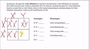 Color Blindness X Linked Trait