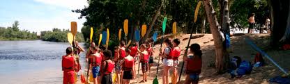 Fauci cree que podría ser posible que los niños en ee.uu. 20 Divertidas Actividades De Campamento De Verano Para Ninos