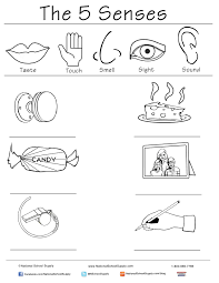 New 5 Senses Printable Is Great For Classrooms Of All Ages 5 Senses Worksheet Kindergarten Worksheets Five Senses Kindergarten