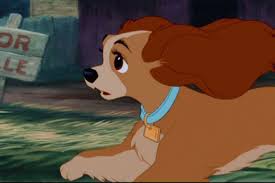 Maybe you would like to learn more about one of these? Top 10 Female Animals Of Animation Reelrundown