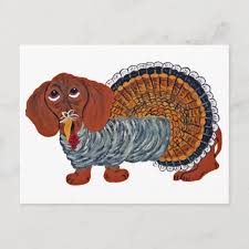 Whipped up a shirt for halloween in minutes. Dachshund Thanksgiving Turkey Holiday Postcard Zazzle Com Holiday Postcards Turkey Holidays Dog Thanksgiving