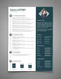 Presentation Cv 67 Maxi Cv Resume Design Resume Skills List Resume Design Template