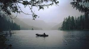 Port protection is located at. Starsat Lawless Island Alaska Wednesdays At 20h05cat Facebook