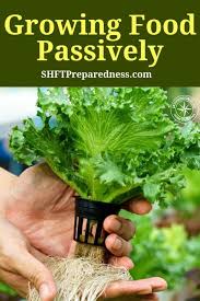 Gardening Growing Food Growing Hydroponics Diy