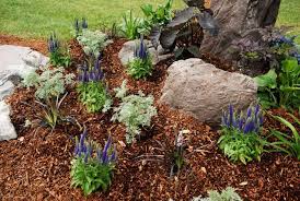 Was Ist Mulchen Wann Und Wie Man Rasen Und Beete Mulchen Kann Neueste Dekoration Mulchen Pflanzen Rindenmulch