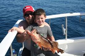 Coletta Sport Fishing Charters Is A Fishing Charter Deep Sea Fishing And Best Charter Boat Service Located In Deep Sea Fishing Sport Fishing Fishing Charters