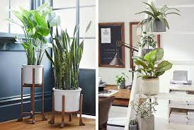 Place plants on a side table next to the couch or tv unit or on the coffee table. Interior Interior Design Plants Inside House