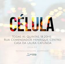 Celula Zoe O Que Significa Zoe Voce Sabia Que Zoe Vem Do Grego E Significa Vida Em Abundancia Jesus Diz Em Joao 10 10 Que O Ladrao Nao Vem Senao A Roubar