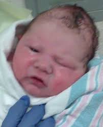 1 THE WELLS FAMILY ASSOCIATION INC.