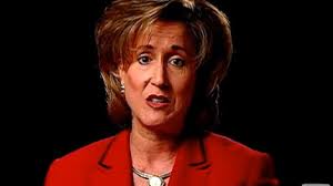 Wagner not selected for RNC chair, Priebus voted in to job