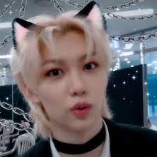 lee felix as a cat agenda: a thread