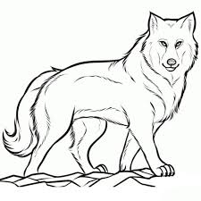 Bildergebnis Fur Malvorlagen Wolf Gratis Wolf Zeichnung Ausmalen Ausmalbilder