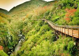 Ruta De Las Pasarelas En El Canon Del Rio Mao En La Ribeirasacra Turismo De Naturaleza Rutas De Senderismo Lugares De Espana
