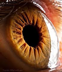 Maybe you would like to learn more about one of these? The Resolution Of The Human Eye Is 576 Megapixels Art Sheep