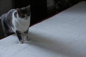 Die besten matratzen concord matratzen bei testberichte.de. Yumi By Matratzen Concord Im Test