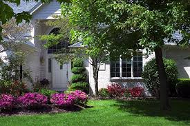 Sacramento Landscaping Evergreen Shrubs And Trees Azalea Capital Landscape Re Yard Landscaping Simple Front Yard Landscaping Simple Small Backyard Landscaping