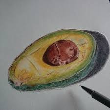 Roman Oh On Instagram Dessin Crayon Draw Avocat Art Fruit Couleur Colors Art Instagram Instagram Posts