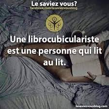 une librocubiculariste est une personne qui lit au lit lire au lit regle de vie livres a lire
