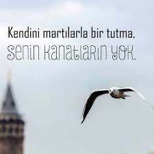 Kendini Martilarla Bir Tutma Senin Kanatlarin Yok Attila Ilhan Beni Koyup Gitme Sozler Anlamlisozler Guzelsozl Ozlu Sozler Guzel Soz Alinti Sozler