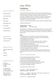 100+ marketing resume examples with complete guide by professionals writers. Sales Cv Template Sales Cv Account Manager Sales Rep Cv Samples Marketing