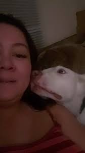 Tracy Riehl (@forriehl)