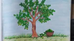 How To Draw A Guava Tree Very Easy Way Youtube This tutorial is very easy for kids.click subscribe to watching more videos, don't forget to share with you friends.●►views on youtube. how to draw a guava tree very easy way