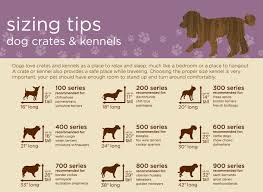 Dog Crate Sizing Tips Http Www Google Com Blank Html Dog Crate Sizes Kennel Training A Puppy Portable Dog Kennels