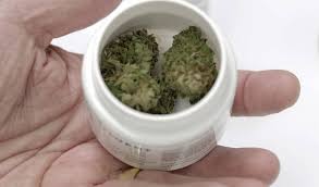 To call someone out on their bullshit. Thc Cap For Medical Marijuana Filed In Fl Senate Miami Herald