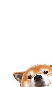 Trendy Wallpapers For Android Iphone Lock Screen Wallpaper Lock Screen Wallpaper Iphone Dog Wallpaper Iphone Cute Dog Wallpaper Dog Wallpaper