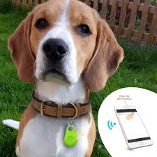 Pet Smart Gps Tracker Mini Anti Lost Waterproof Bluetooth Locator Tracer For Pet Dog Cat Kids Car Wallet Key Collar Accessories Way2mall In 2020 Dog Gps Dog Tracker Cat Kids