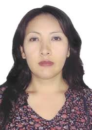 Propiedades de Otorongos Elecciones 2022