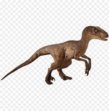 Product information product dimensions 2.5 x 2.5 x 3.75 inches item weight 2.99 ounces asin Jurassic Park Velociraptor By Camo Flauge Dcewck1 Jurassic Park Velociraptor Png Image With Transparent Background Toppng