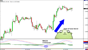 how to use the macd indicator babypips com