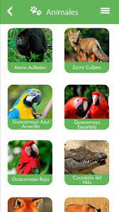 ¿qué es el club buin zoo? Buin Zoo Fur Android Apk Herunterladen