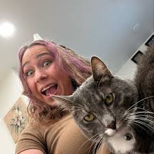 Why is there a traffic standstill at Lambs Canyon?