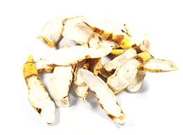 Image result for Cynanchum ledermannii