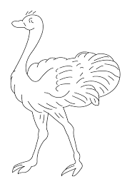92 likes · 27 talking about this. Coloriage Autruche 684 Animaux Album De Coloriages