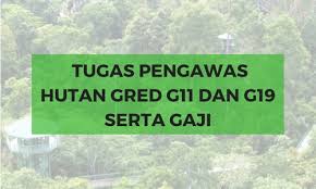 Jika anda berminat untuk mengisi kerja kosong di jabatan pendafta. Tugas Pengawas Hutan Gred G11 Dan G19 Jawatan Kosong