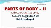 To switch between tamil and english use ctrl + g. Vocabulary About Parts Of Body Including Tamil Meaning Part 1 Youtube