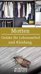 Motten Bekampfen So Werden Sie Motten Wieder Los Motten In Der Wohnung Kleidermotten Motten Im Schrank