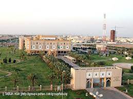 pin on middle eastern environments