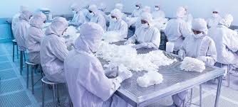 Malaysia, selangor state, serendah, bandar bukit beruntung. Nitrile Gloves Manufacturer Cleanroom Gloves Medical Gloves