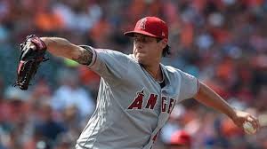 He proposed to carlie while they were vacationing in bora bora in 2017. Tyler Skaggs Net Worth How Much Was He Worth In 2019