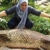 Beberapa ratus tahun yang lalu, manusia hampir dibasmi oleh raksasa. 1