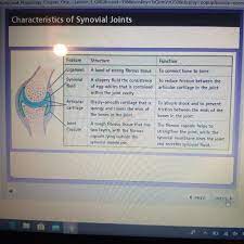 Pin By John Doe On Pt2 Synovial Joint Cavities Structure And Function