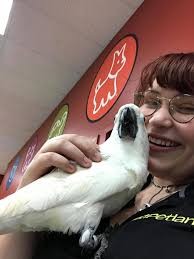 Birdie spa day! Bath and nails trimmed ❤️