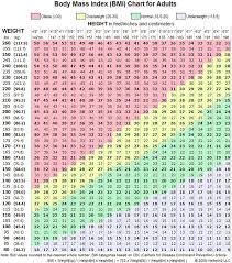 Calculating Bmi Body Mass Index